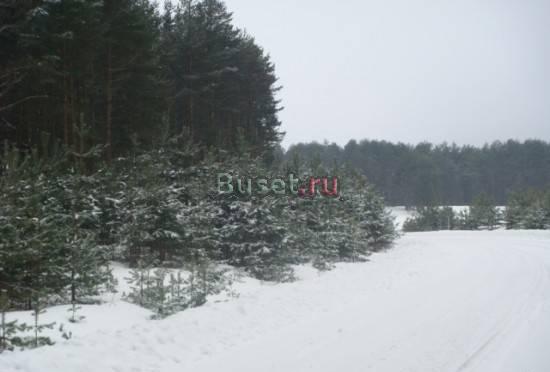 земля на Селигере Осташков