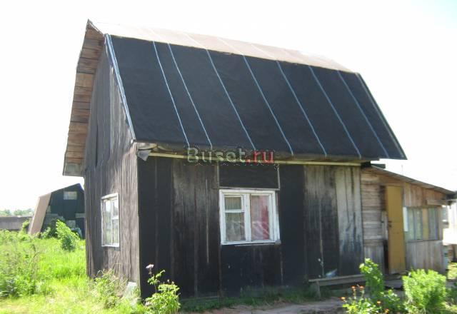 Дачка Кингисепп