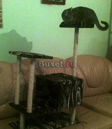 Продаю дом для кошки Москва