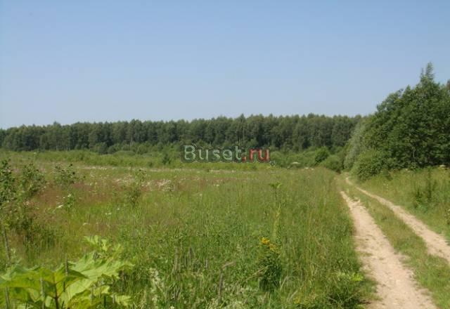 Продам участок или участки на Новорижском шоссе Москва