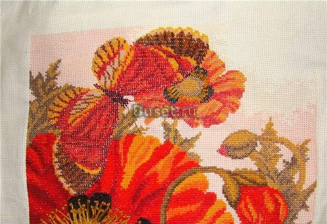 Бабочка на маках Балашиха