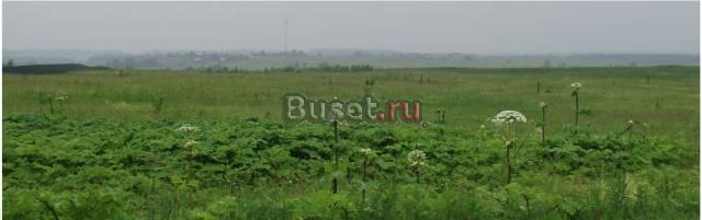 Участок в Дьяково,Волоколамское шоссе,45км от МКАД Истра