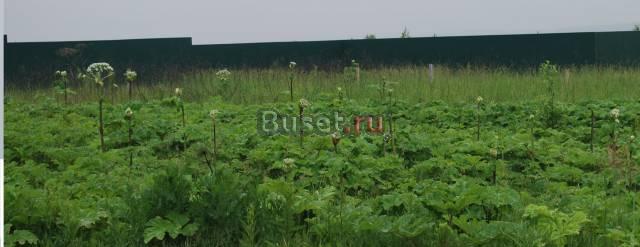 Участок в Духанино 10соток,Волоколамское шоссе,40к Истра