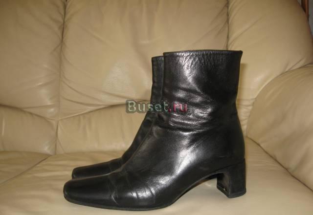 Сапоги италия enrici  antuaneti Санкт-Петербург