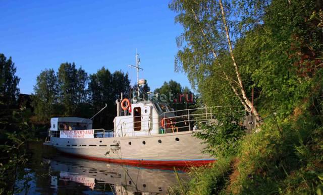 Охота в окрестностях Рыбинского водохранилища Москва