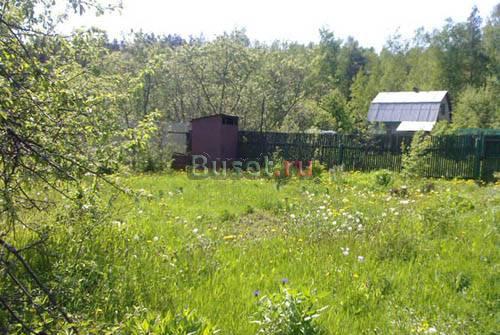 Дача д. Старая слобода, СНТ Лира, 8 соток, 30 км Москва