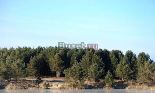 Земельный участок среди лесов и озер Воскресенск