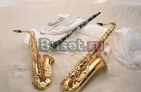 Cаксофон,флейта,кларнет УРОКИ Москва