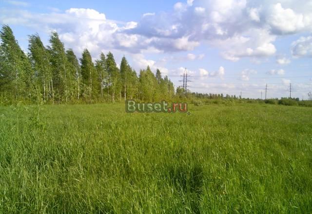 Участок 9 соток у озера Коркинское Санкт-Петербург