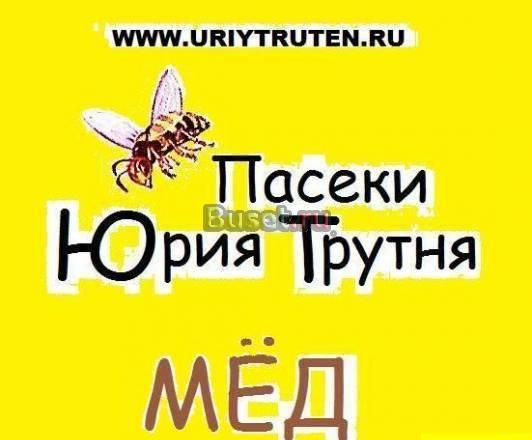 Мед, продукты пчеловодства Москва