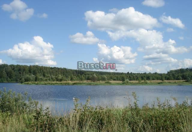 Продажа Земельного Участка в Брейтово на Рыбинском Ярославль