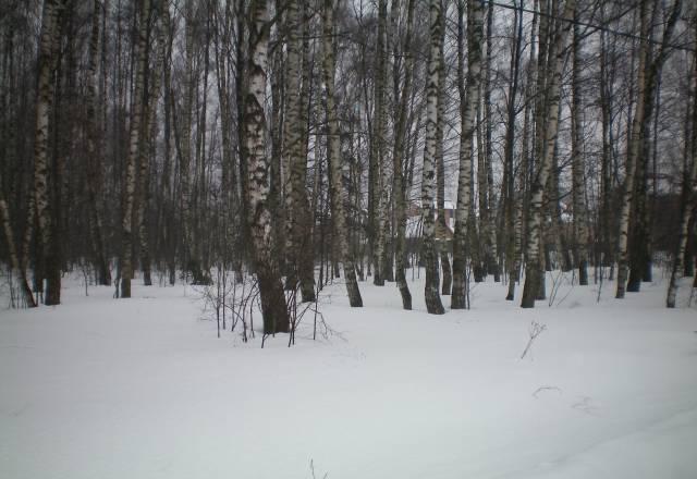 Участок 10соток - 140000 Пироговский