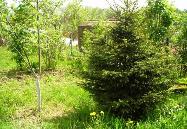 Участок Симферопольское шоссе 40 км от МКАД Чехов