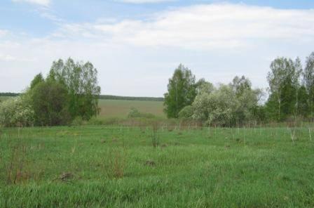 Участок 15 сот. в д.Маньшино 140 км от МКАД Алексин