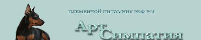 Щенки миниатюрных собачек Москва