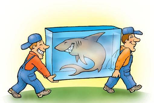 Грузчики Красноярск