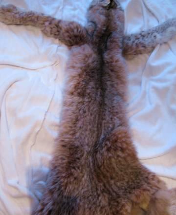 Шкура рыси Москва