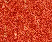 Байрамикс.Отделка и нанесение Москва