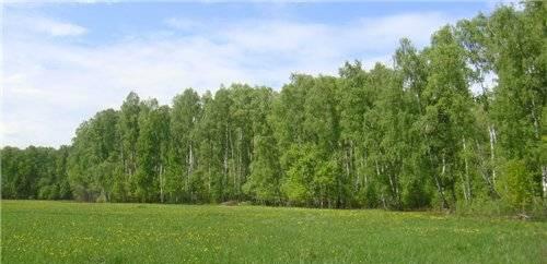 Продаю земельный участок 10,5 соток Москва