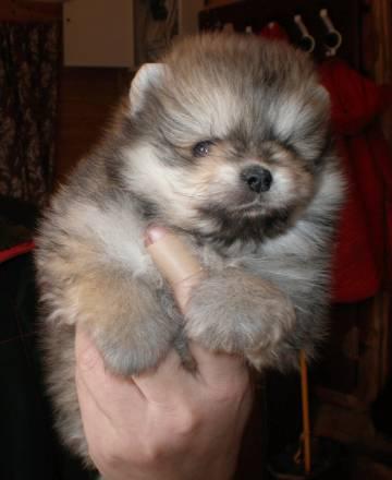 Ткани без наценок. Пошив штор и текстиля для дома Москва