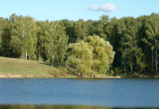 Участок 12 соток в Каширском районе (собственник) Москва