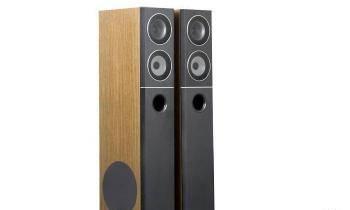 Напольная акустика 2.0 AVE ECM350 Санкт-Петербург