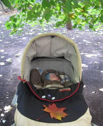 Коляска люлька, колыбель, автокресло, шезлонг Москва