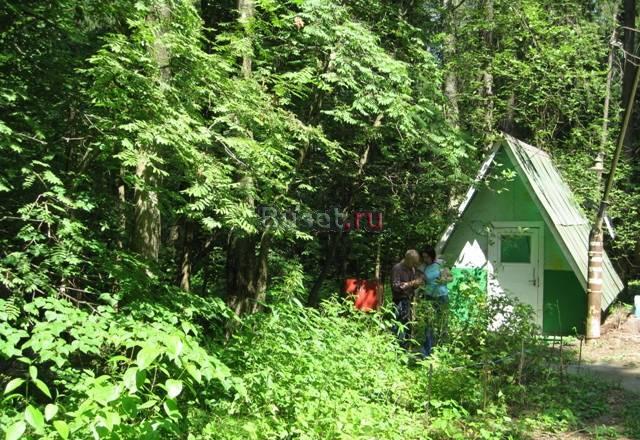 Отдых в подмосковье очень дешево Москва
