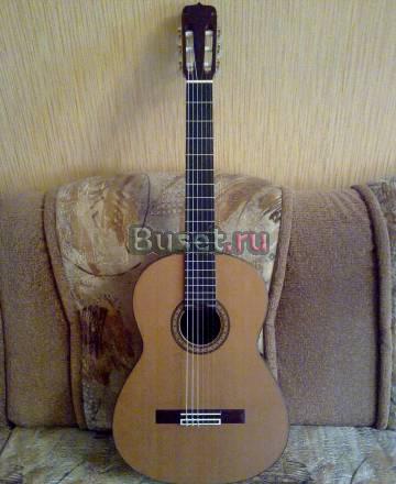 Мастеровая гитара Барнаул