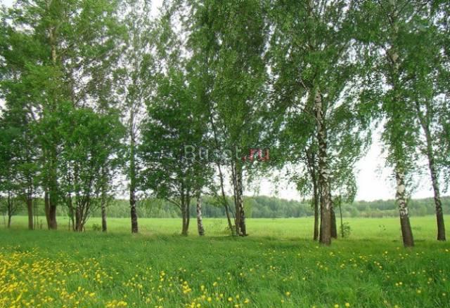 Минское ш. 24км, Коттеджный п. коммуникации Москва