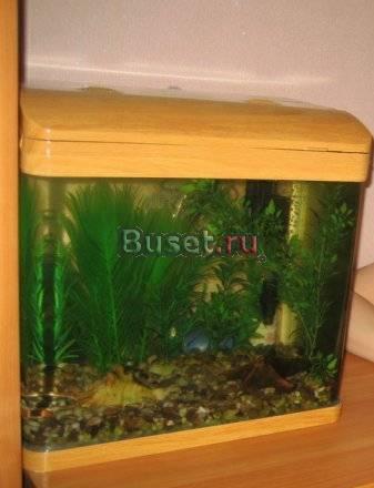 Продаю аквариум бу Санкт-Петербург