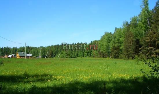 Прилесной участок 48 соток. Ярославское ш. 35км от МКАД Москва