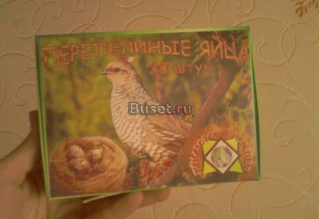 Перепелиное яйцо Таганрог