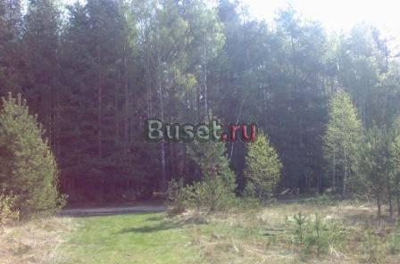 Продам участок 15сот в сосновом бору.г.Киржач Москва