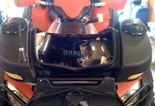 Продаю любимца Москва