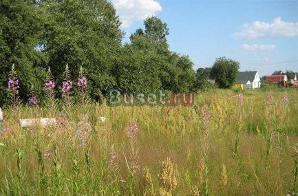 Ижс, Невская дубровка Санкт-Петербург