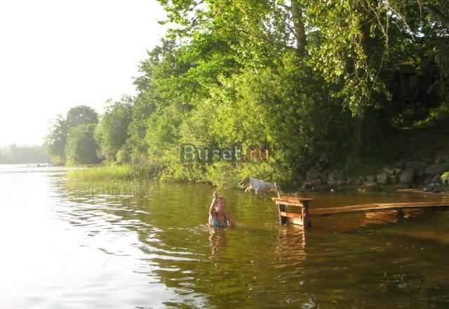 Щеночки Джек рассел терьера Санкт-Петербург