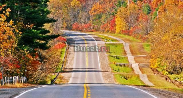 Благоустройство и асфальтирование дорог Санкт-Петербург