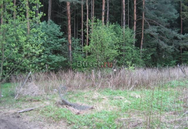 Продам участок в Алабушево, пятницкое 23 Москва