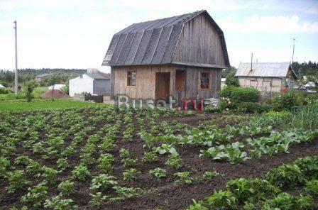 Продаю Санкт-Петербург