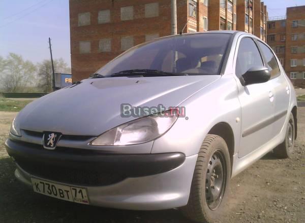 Peugeot 206, 2002 Новомосковск