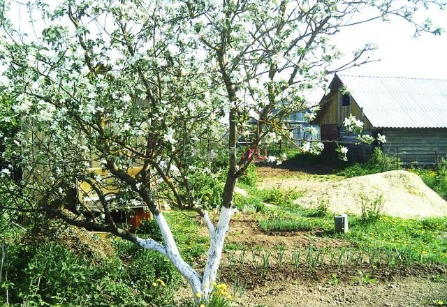 Продам дачу Санкт-Петербург