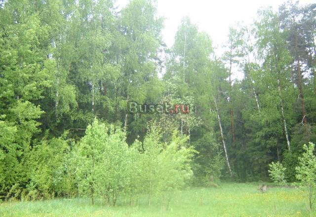 25 сот ижс в Шевелкино, Щелковское напр Москва