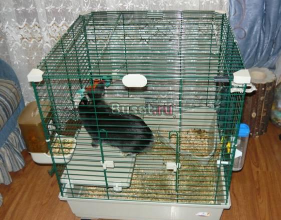 Клетку Marchioro Kit Chinchilla Москва