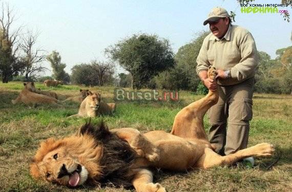 Массаж классический Москва