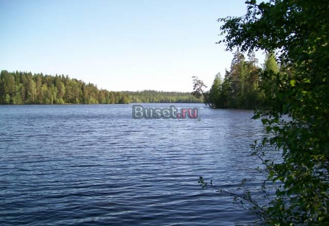 Новый дом 120м +12 сот.45 км от спб Приоз напр Санкт-Петербург