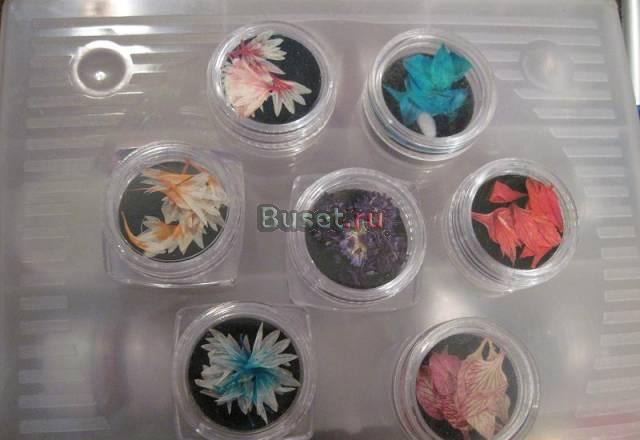 Сухоцветы для дизайна ногтей Москва