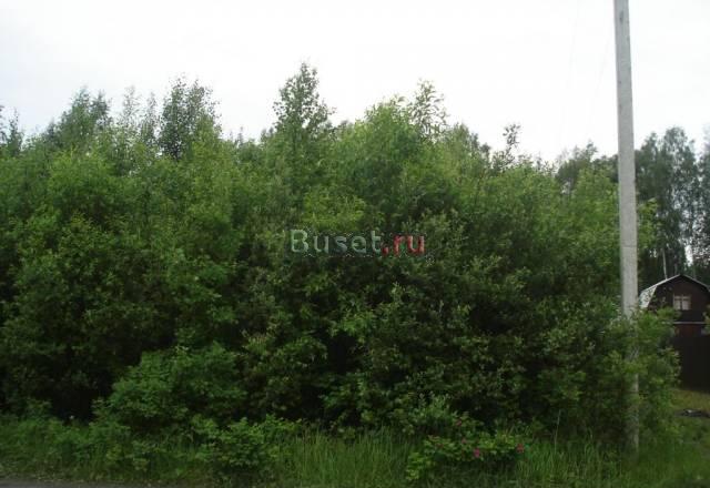 Участок 6 соток в СНТ, 65 км от МКАД Киржач