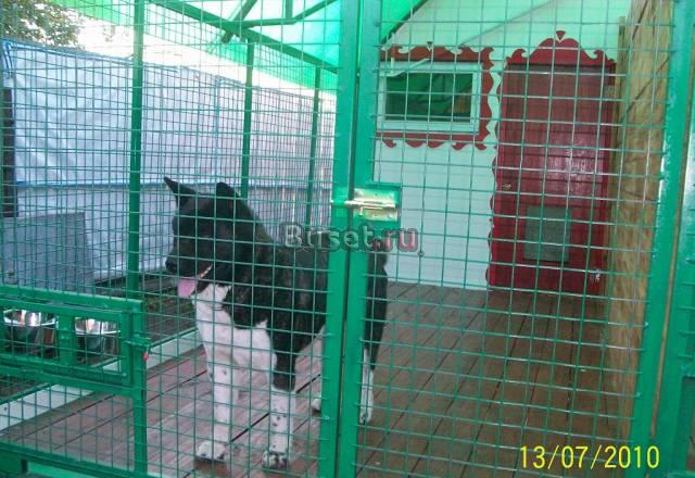 Возьму собаку на время отсутствия хозяина в частны Москва