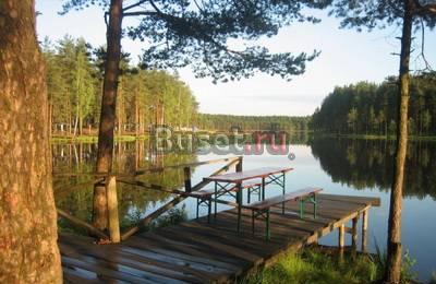 П.Вирки  у Коркинского озера (Всеволожский р-н) Санкт-Петербург